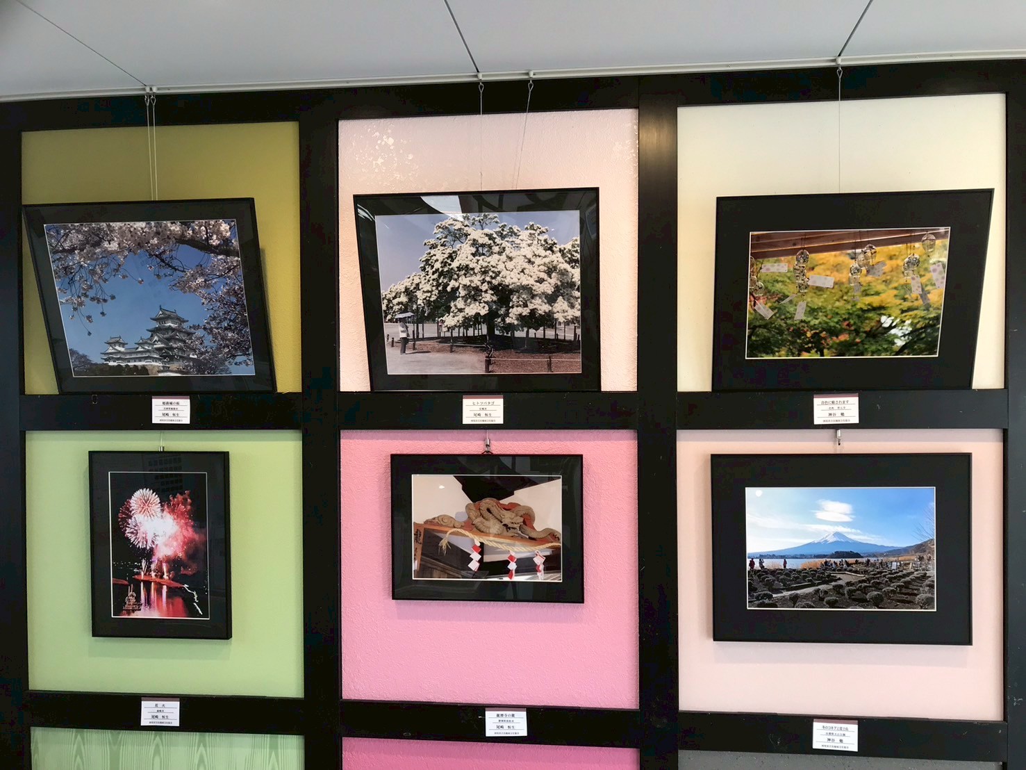 7月ギャラリー『写団「黒猫」』