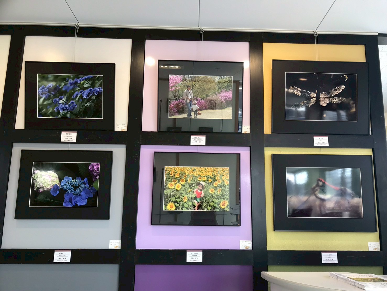 7月ギャラリー『写団「黒猫」』