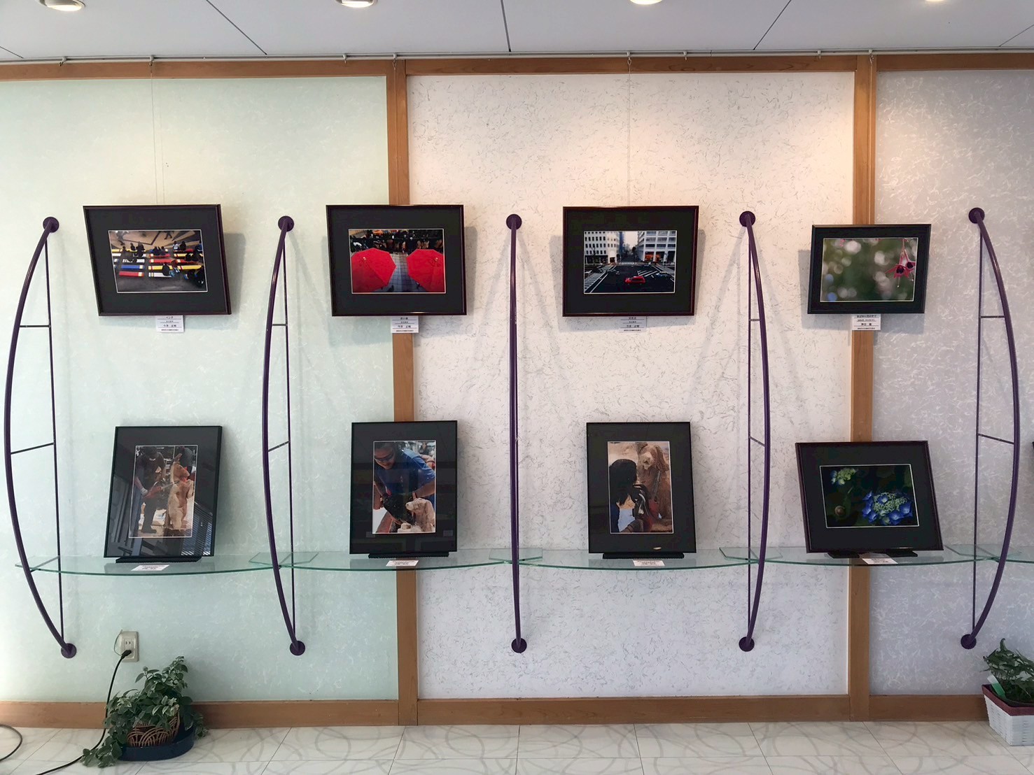 7月ギャラリー『写団「黒猫」』