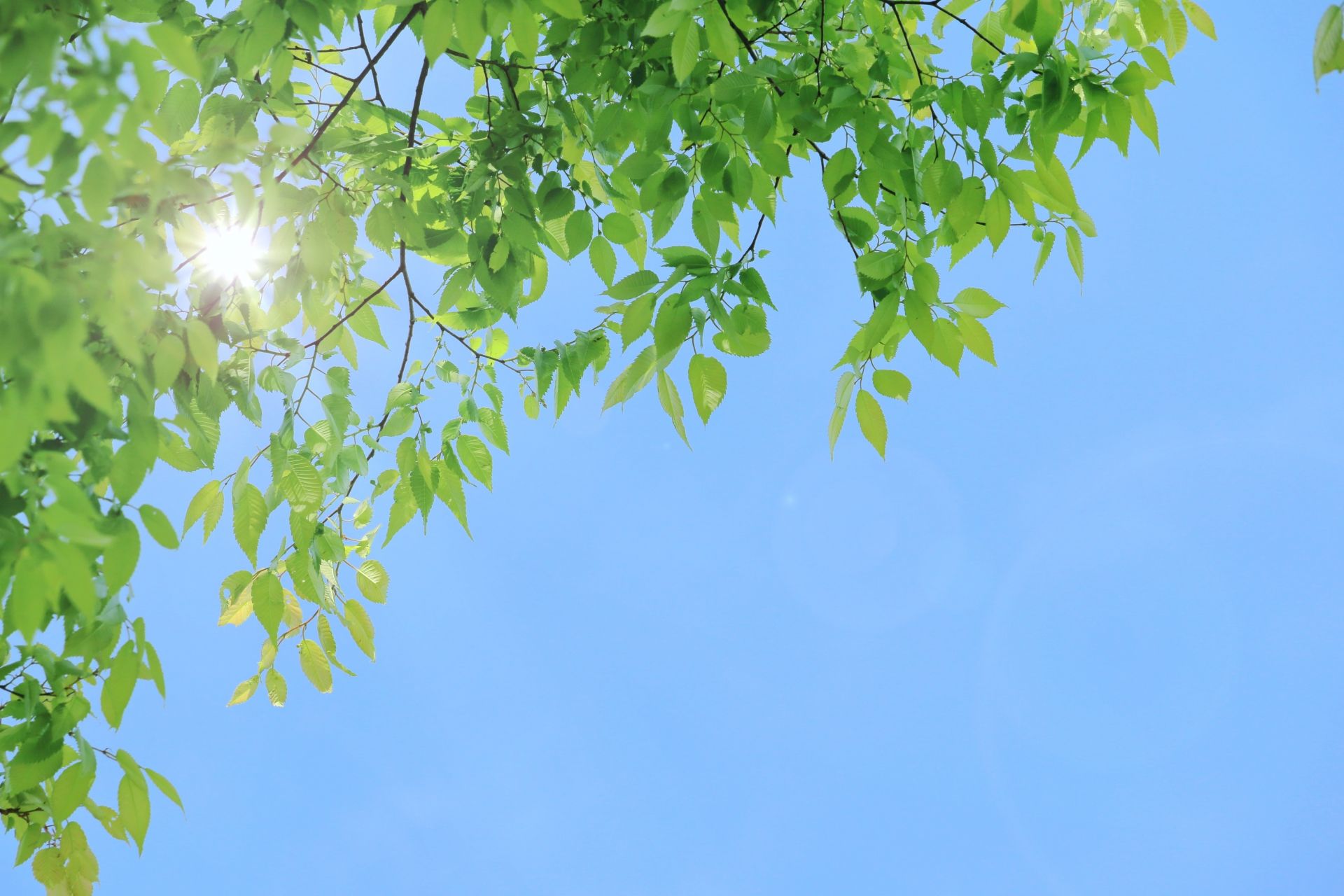 安城市の外壁塗装｜気候・地理から考える塗替えのポイント