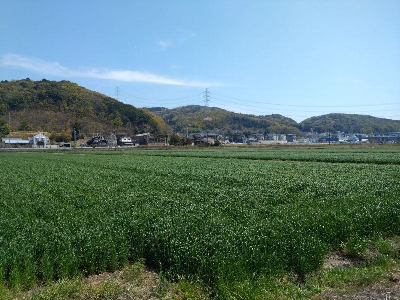 幸田町の外壁塗装｜地理・気候から考える塗替えのポイント
