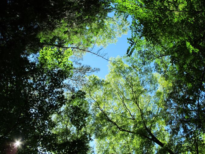 幸田町の外壁塗装｜地理・気候から考える塗替えのポイント