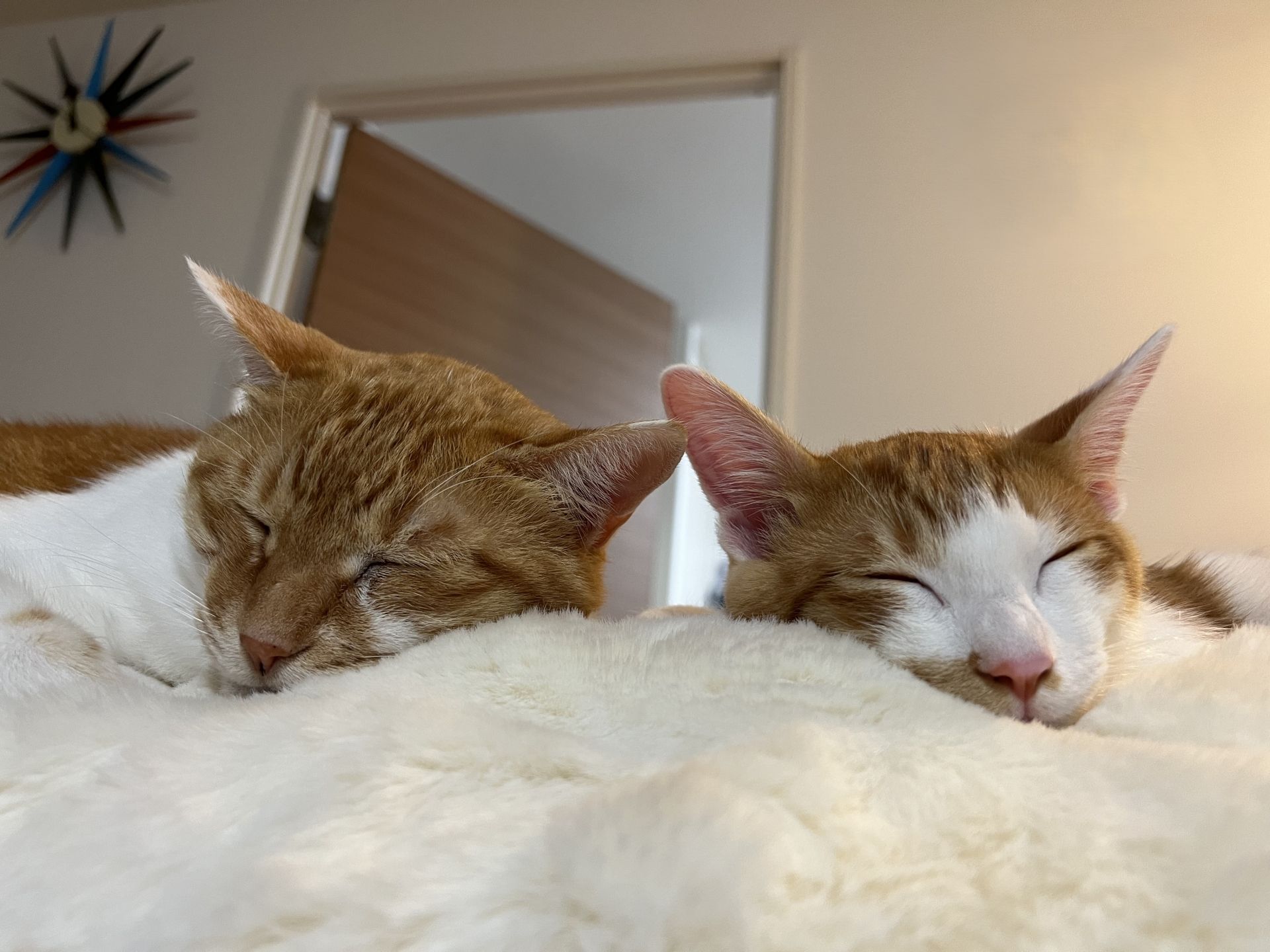 シンナーとは？　外壁塗装での役割・安全性・におい対策をプロがわかりやすく解説