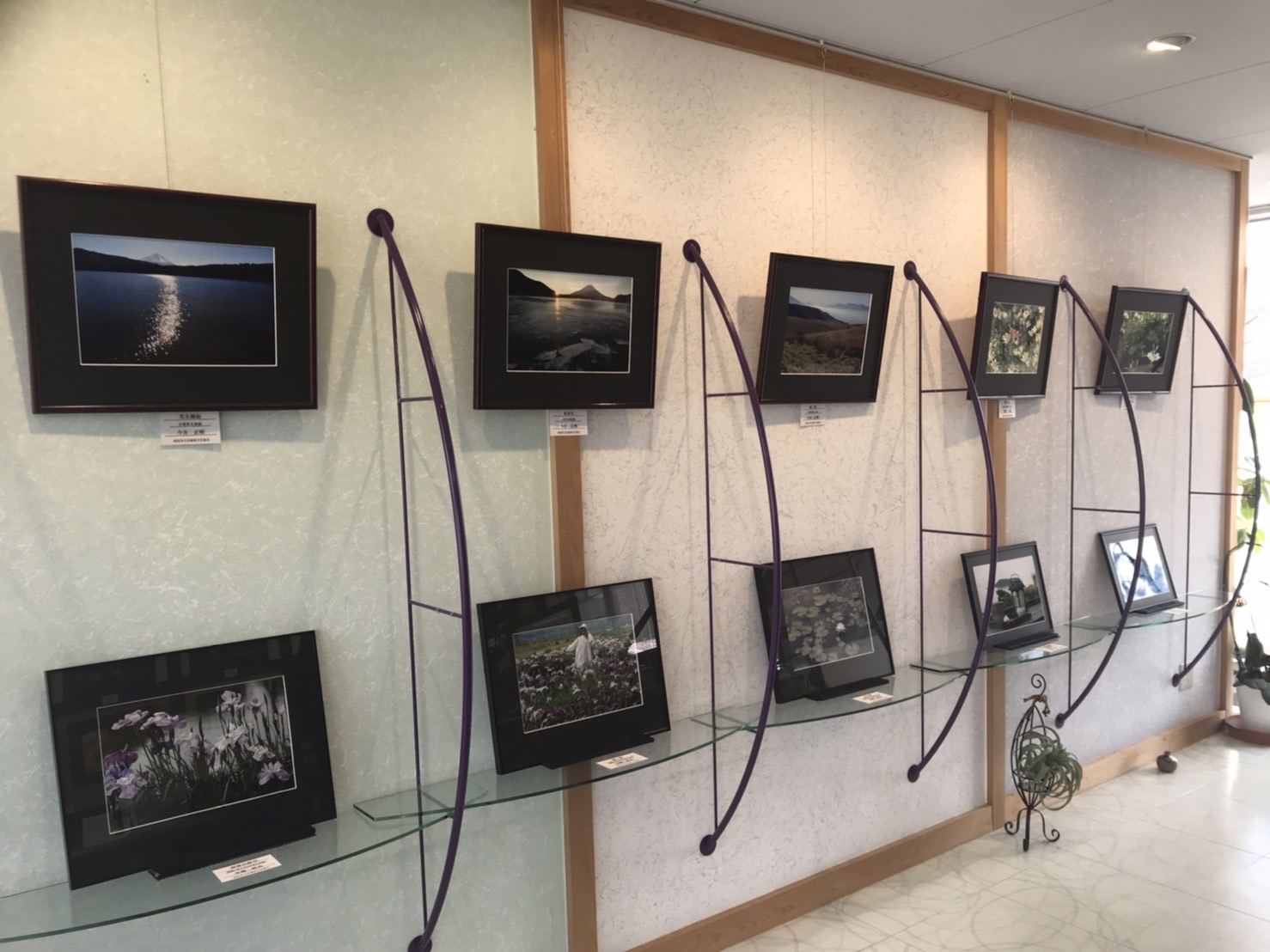 7月ギャラリー『写団「黒猫」』