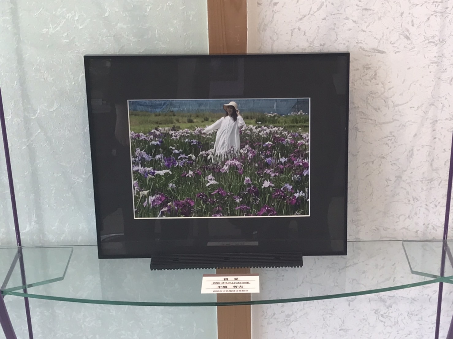 7月ギャラリー『写団「黒猫」』