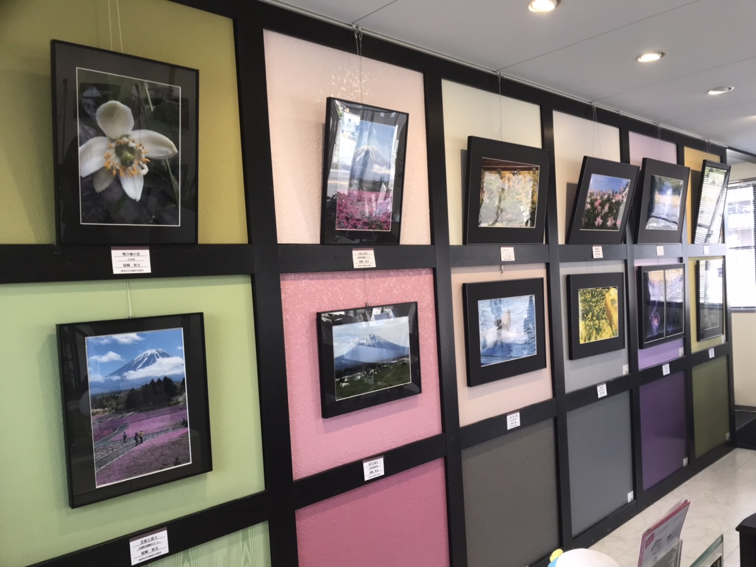 7月ギャラリー『写団「黒猫」』