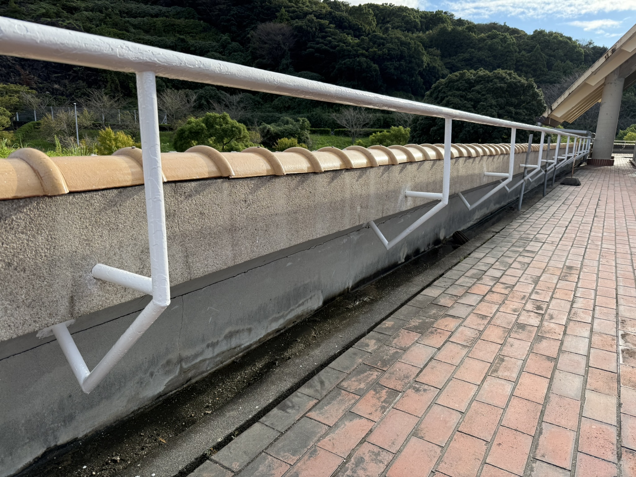 「いいいろ塗装の日」愛知こどもの国でボランティア活動をしました