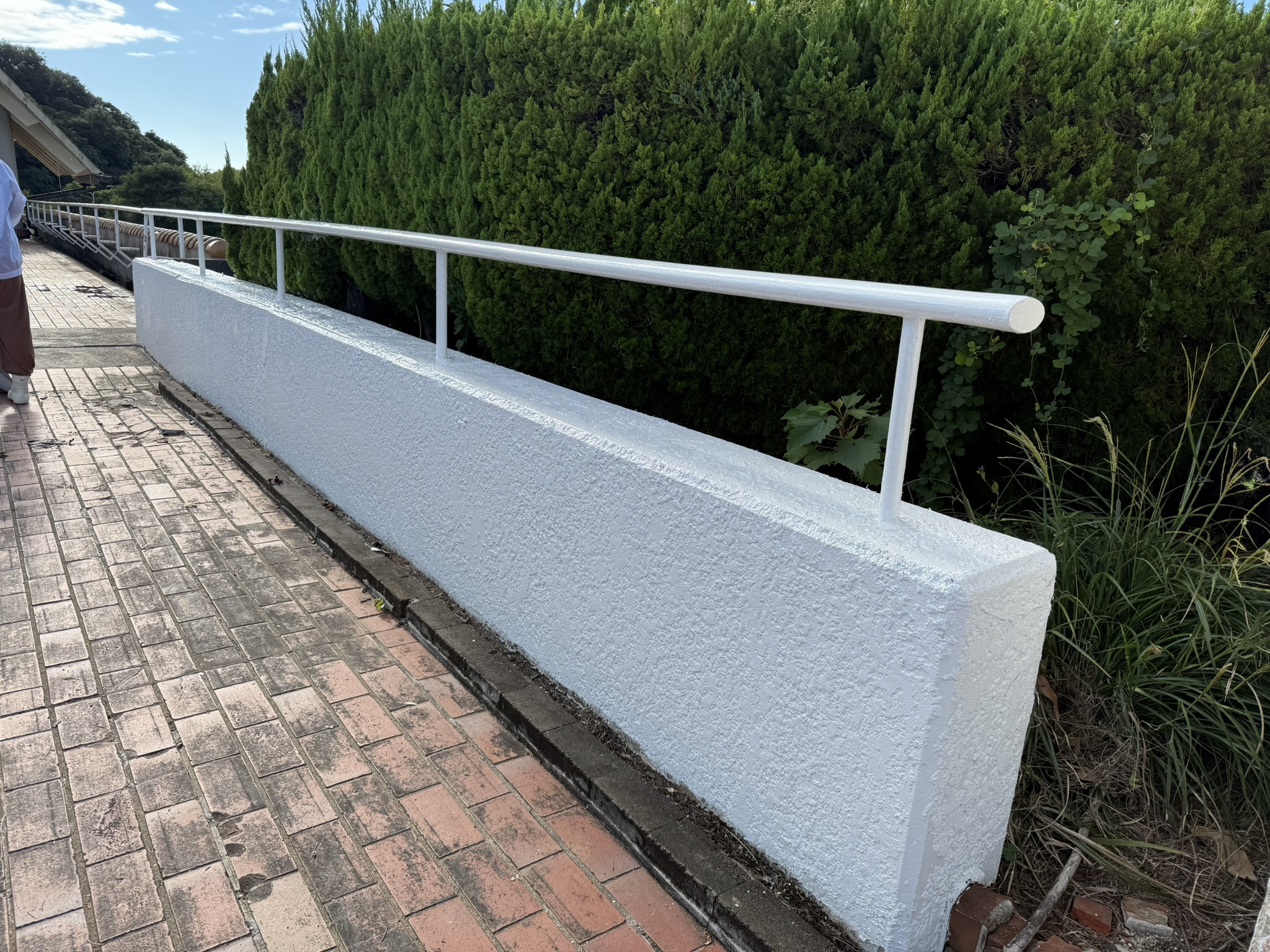 「いいいろ塗装の日」愛知こどもの国でボランティア活動をしました