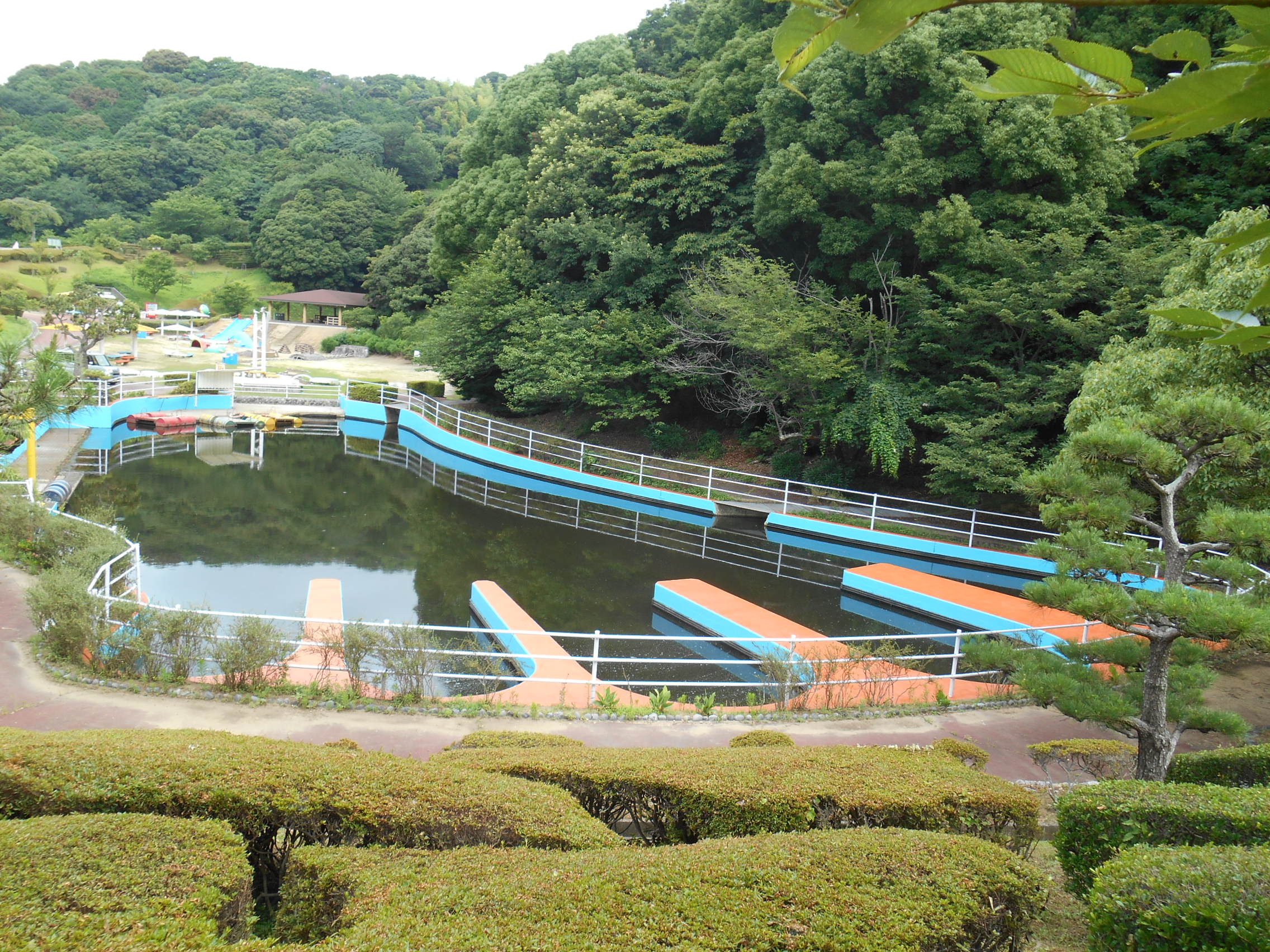 愛知こどもの国　イカダ池